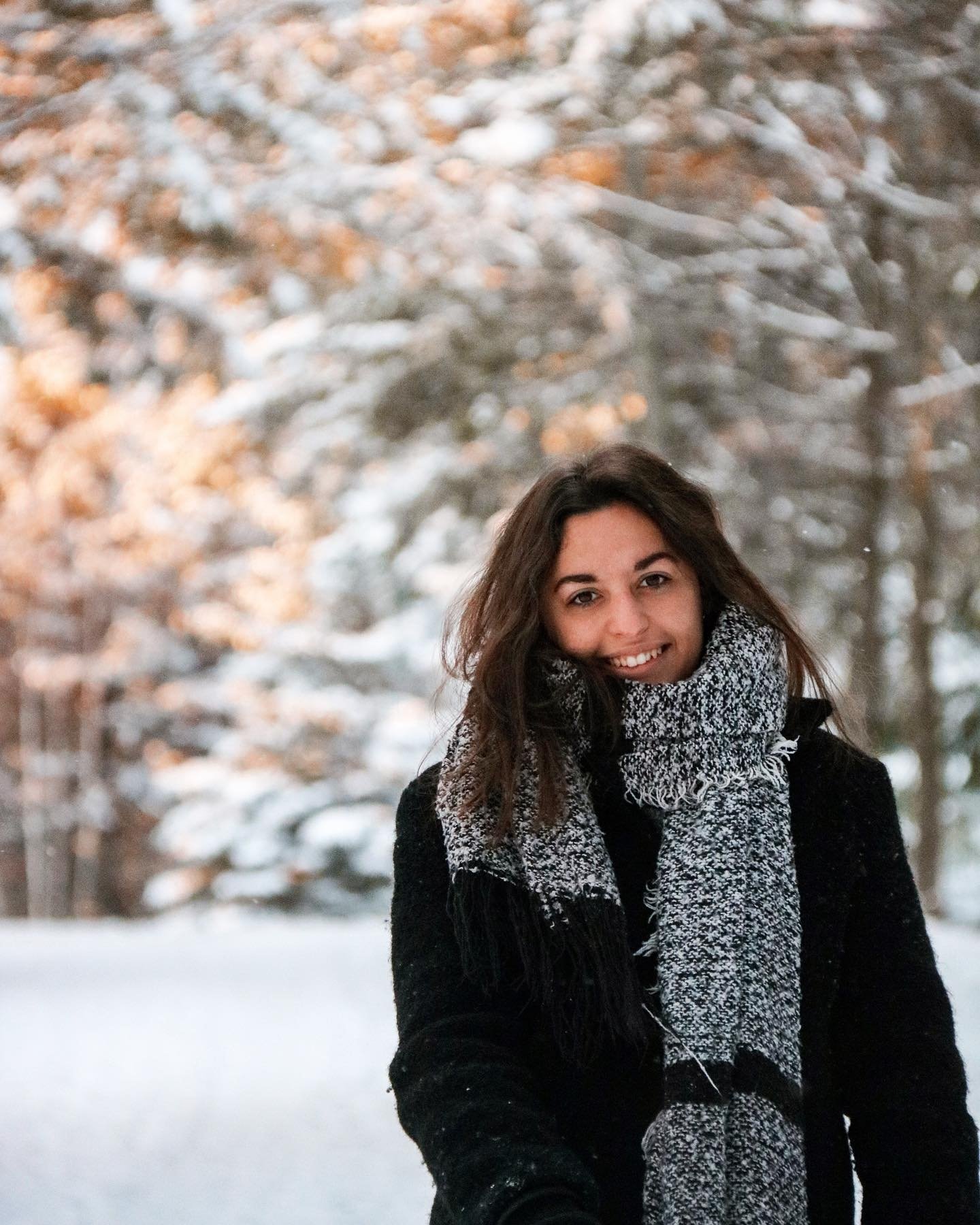 Vacca da Ancona,Italia